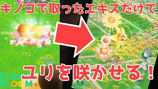 【初心者必見】7月の花はユリ！キノコからゲットできたエキスだけでユリを咲かせる方法を教えます！！【ピクミンブルーム / Pikmin Bloom 】