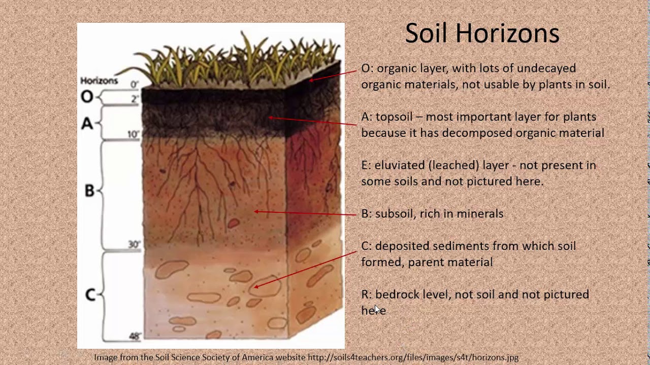 Significant Soils: Soil Profile & Horizons - YouTube