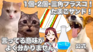 ラブライブの催眠術たまごサンド事件【猫ミーム】 #猫マニ #猫ミーム