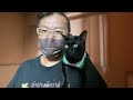 【🇹🇭生live配信】月曜日だから朝ねこライブ！thai cat❤️in bangkok 29aug2022 cat ネコ แมว ペット pet