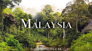 Malaysia In 4k - The Land Of Beautiful Topical Rainforest | Scenic Relaxation Film