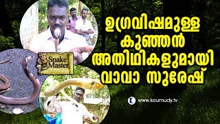 Wow! Vava Suresh with Lethal Little Cobras |  Snake Master | Latest Video