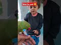 तोते ने ये क्या किया cute 🫶