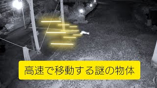 今週の訪問者(2024.11.09～11.16)