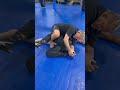 Step over Calf Slicer