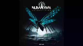 Numayma - Unidentified