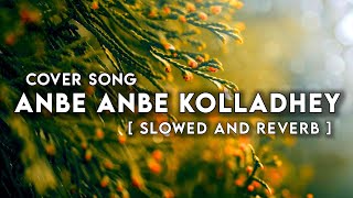Anbe Anbe Kolladhey Cover Song | Slowed and Reverb | Tamil Slowed and Reverb | Reverbs Feelings