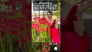 【 #iphone 】カメラ使い込みたい人必見！ #スマホ撮影 【 #スマホで撮影 】