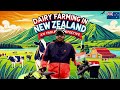 Dairy Farming in New Zealand 🇳🇿 with Indian 🇮🇳