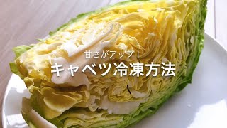 【冷凍生活アドバイザー直伝】キャベツを冷凍すると甘くなる！上手な冷凍方法