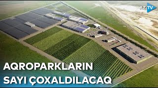 Azərbaycanda aqroparkların sayı 51-ə çatdırılacaq