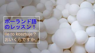 Polish Lesson おいくらですか How much is it? Ile to kosztuje?