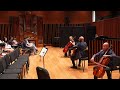 2024 irvine music festival cello masterclass with robert demain