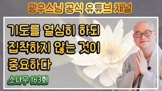 기도를 열심히 하되 그것에 집착하지 않는 것이 중요하다 | 광우스님의 소나무 163회