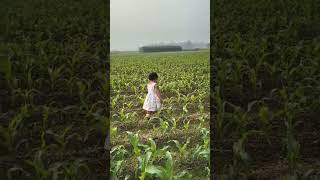 এটা হল আমাদের ভূট্টা🌽 জমি 🥰 #viralvideo