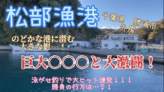 【勝浦市　松部漁港】偶然寄った漁港で闇の中謎の巨大魚と格闘！