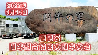 沖縄 闘牛 屋慶名闘牛組合結成大闘牛大会 2022年9月25日