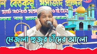 মেজলা হুজুর চাঁদের আলো//মোঃ তহিদুল রহমান