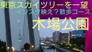 【散歩】木場公園から東京スカイツリーを眺める。インスタ映えスポットの穴場散歩コース