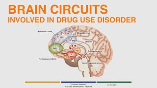 Medication Treatment of Opioid Use Disorder