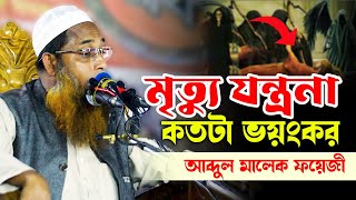 মুত্যু যন্ত্রনা কতটা ভয়ংকর । আব্দুল মালেক ফয়েজী । নতুন ওয়াজ। Abdul Malek Fayezi। new waz