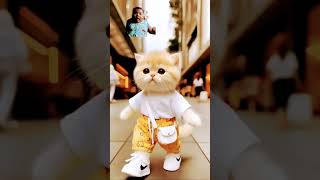 katu mele song#shorts #cat #catt #cute #catlover #cutecat #ytcat #funny #rap #tamil #viralshort