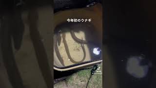 山口県宇部市2023.05.17 ウナギ釣り🎣餌はミミズ