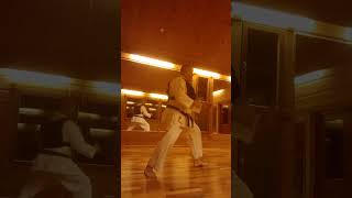 Sensei Jani Somppi 5.  Dan performs moving exercise with extra weight