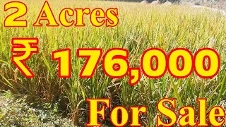 2 ఎకరాల వరి సాగు భూమి అమ్మకానికి కలదు | 2 Acres Agricultural Land For Sale Rate Acre Is 1,76,000 L