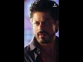 dilwale movie scene shorts