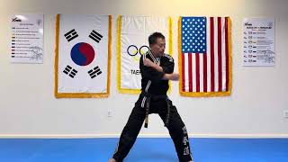 10 Basic Motions - Purple & Red Belts (Mirror Mode)