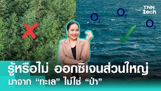 รู้หรือไม่ ? ออกซิเจนส่วนใหญ่มาจาก “ทะเล” ไม่ใช่ “ป่า”| TNN Tech Reports