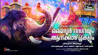 മൈസൂർ ദസറയുടെ ആനക്കാഴ്ച്ചകളിലേക്ക്..Mysore DASARA Elephants