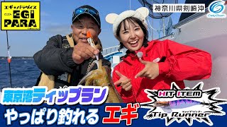 【ティップラン】エギパラ 東京湾でもやっぱり釣れるエギ