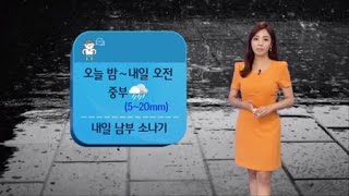 오늘 밤~내일 오전 중부 비 (2016-08-25) / YTN 웨더앤라이프
