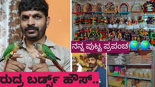 Rudra Birds House Shop Tour Wholesale Breeder in Banglore 7022884537