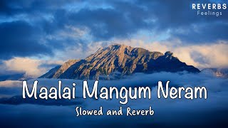 Malai Mangum Neram | Slowed and Reverb | Rowthiram Tamil Movie | Jiiva | Shriya | Prakash Nikki