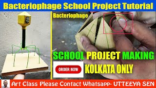 bacteriophage school project tutorial | Bacteriophage virus model 3d making | biology model making