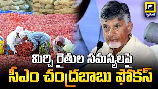 మిర్చి రైతుల సమస్యలపై సీఎం చంద్రబాబు ఫోకస్ | CM Chandrababu Urges Centre's Help For Chilli Farmers