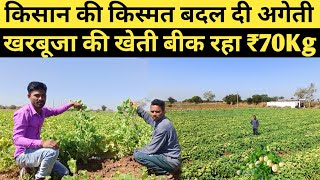 इतना अगेती खरबूजा की खेती | मंडी भाव ₹70Kg yuva kisan ने कमाई के सारे रिकॉर्ड तोड़ दिया