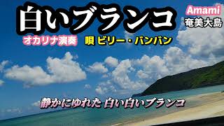 白いブランコ·ビリー・バンバン·歌詞付·751曲目·オカリナハイビスOcarina Hibi‘s