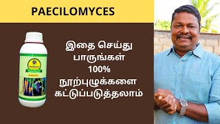 Biological Method of Nematode Control Using Paecilomyces (உயிரிய முறையில் நூற்புழு கட்டுப்பாடு)