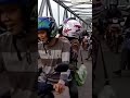 Ada babi lepas di jembatan kapuas #shortsvideo #shorts #short #babi