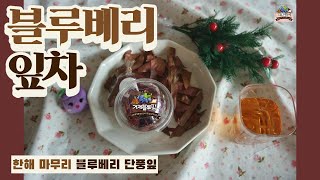 블루베리잎차 만들기/거제블루팜/단풍/geojebluefarm/blueberry/tea