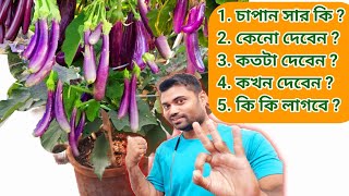 চাপান সার প্রয়োগের সঠিক নিয়ম // How to use dry fertilizer in your plants