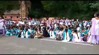 Tenkasi parasakthi women's college student's support jallikattu