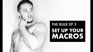 Hot to Set Up MACROS - THE BULK Ep 3 - FTM Fitness