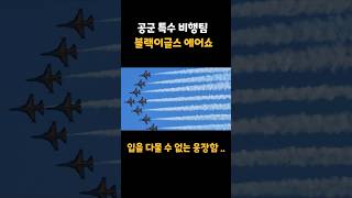 세계 1등 ! 블랙이글스 광안리 에어쇼 …진짜 멋있어요…. #shorts