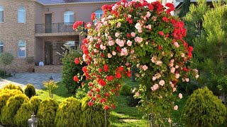 🌺Украшаем свой сад Интересные идеи для благоустройства / Garden Decoration Ideas / A - Video