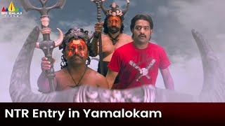 NTR Entry in Yamalokam | Yamadonga | Mohan Babu, SS Rajamouli | Telugu Movie Scenes @SriBalajiMovies